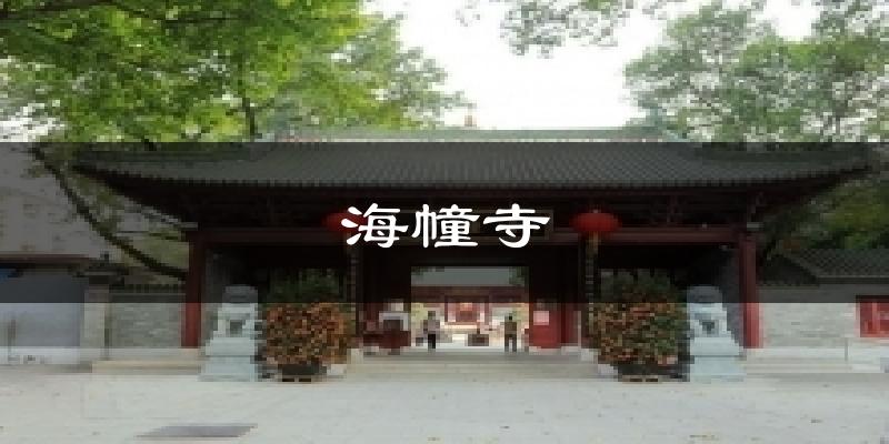 海幢寺今日天气