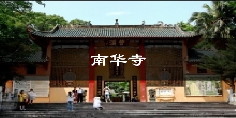 南华寺气温