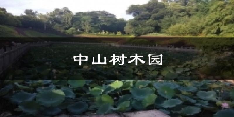 中山树木园今日天气