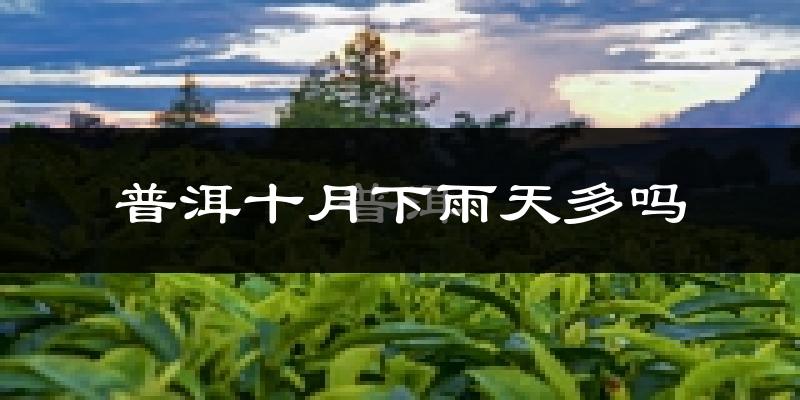 普洱十月下雨天多吗?普洱10月份降雨量多少?