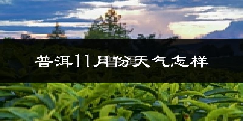 普洱11月份天气怎样?普洱十一月冷不冷?