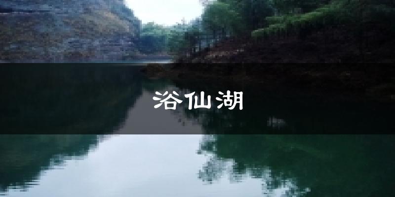 浴仙湖天气预报十五天