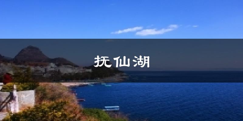 抚仙湖今日天气