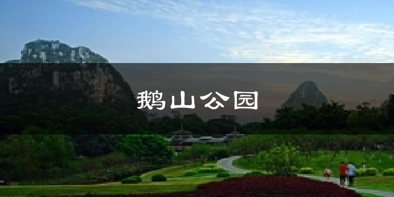 鹅山公园天气预报十五天