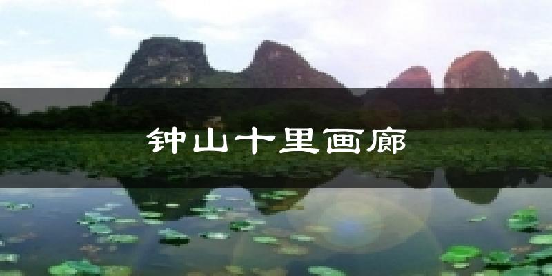 钟山十里画廊今日天气