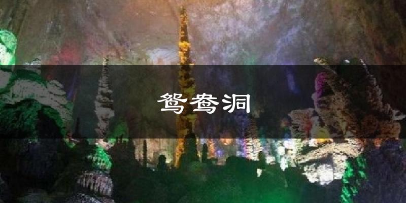 凤山鸳鸯洞天气预报未来一周