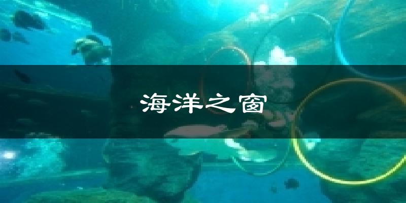 银海区海洋之窗天气预报未来一周