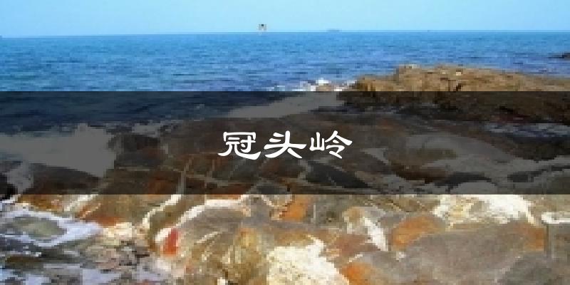 冠头岭天气预报十五天