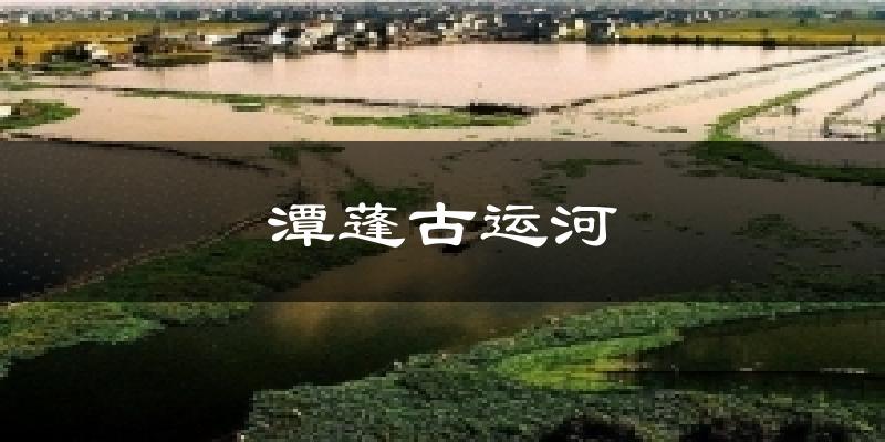 潭蓬古运河今日天气