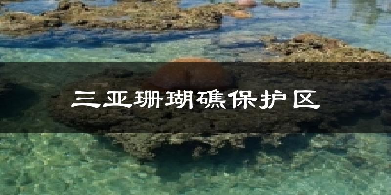 三亚珊瑚礁保护区天气预报十五天
