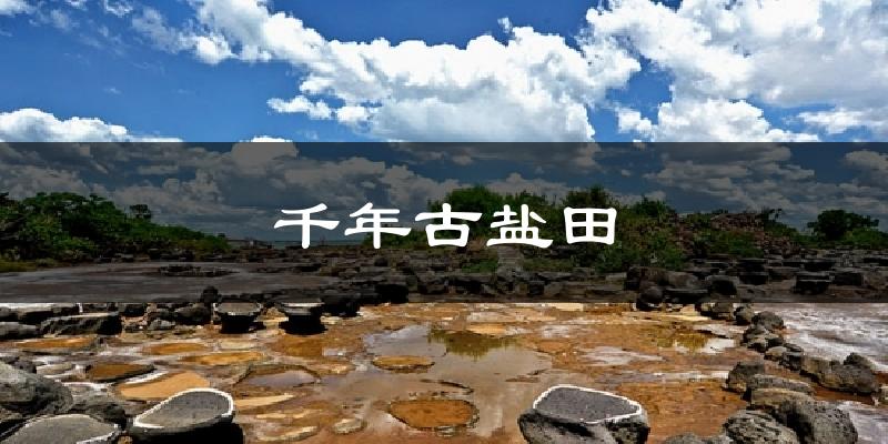 千年古盐田今日天气