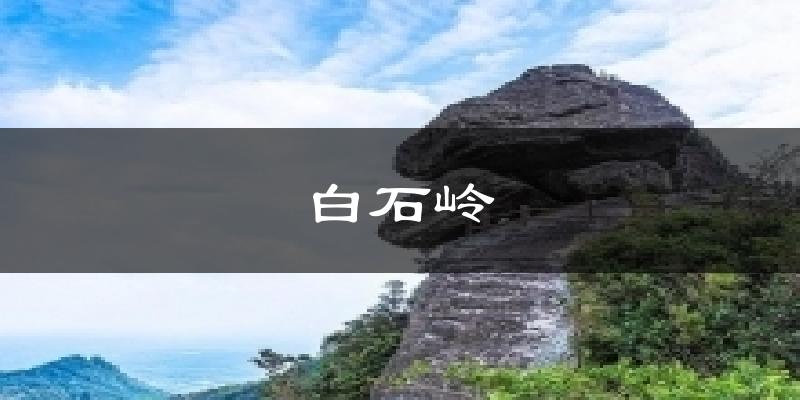 白石岭气温