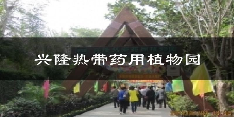 兴隆热带药用植物园天气预报十五天